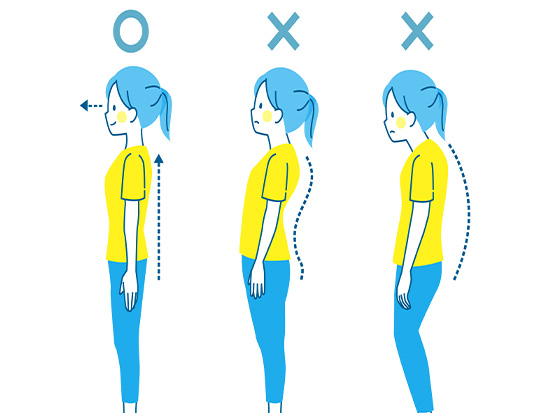 骨盤底筋群と姿勢の重要性について