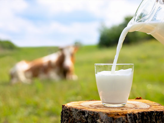 栄養素「ミネラル（無機質）」