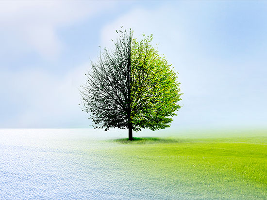 家でできる効果の高い筋トレと言えば?!