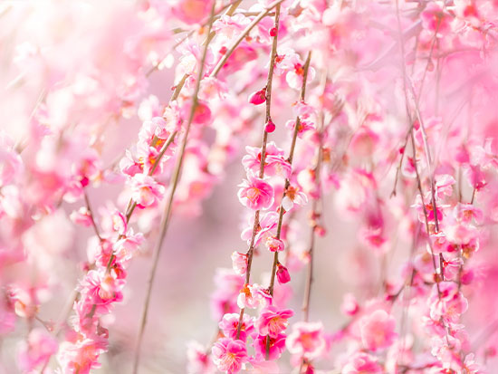 筋肉をつかうエキセントリックトレーニングとは?!