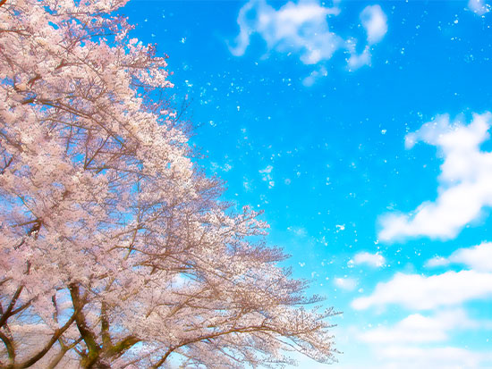 筋肉をつかうウェーブストレッチリングとは？！?!